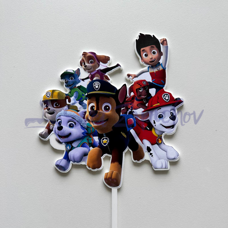 Paw Patrol team