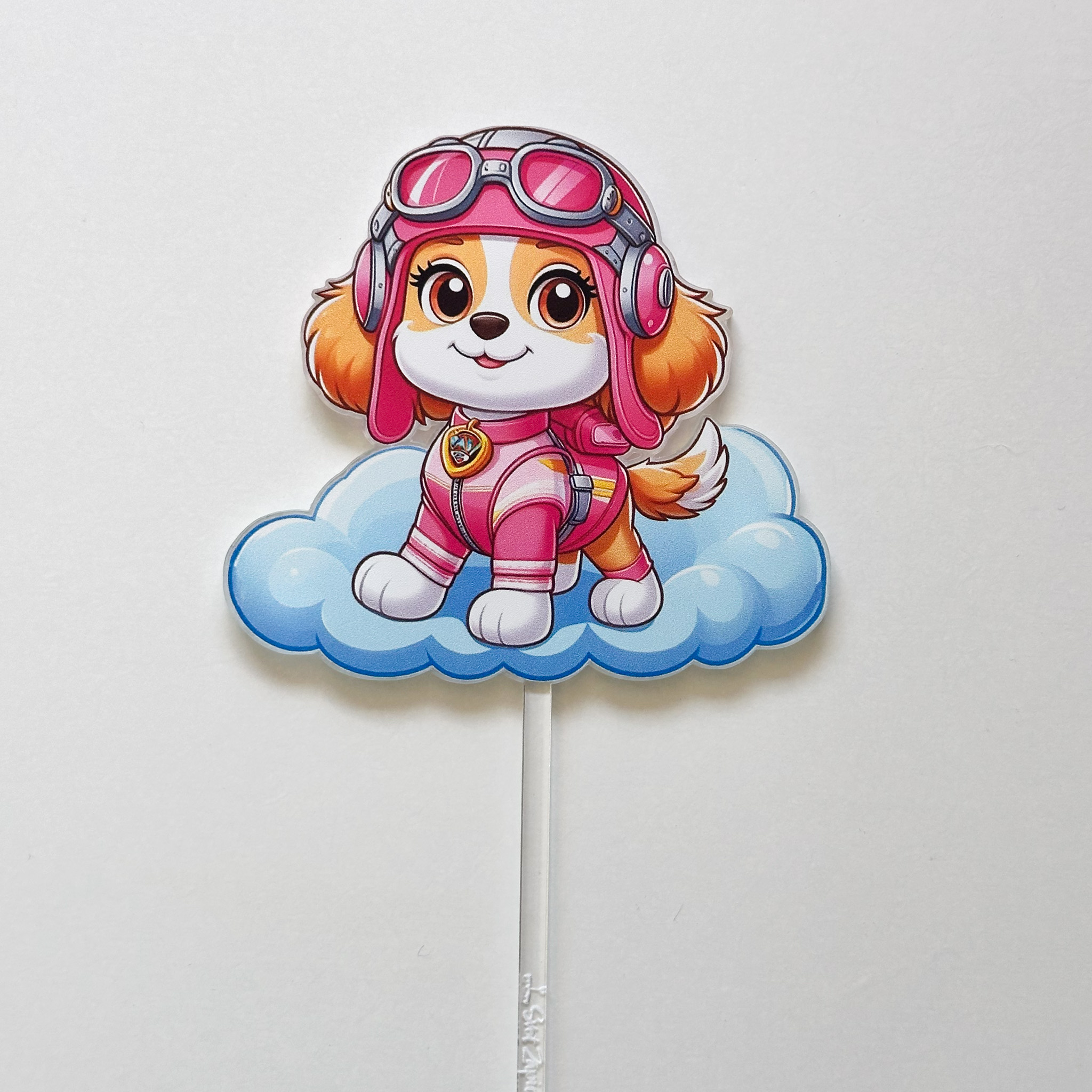 Paw Patrol Skye 3