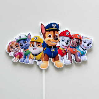 Paw Patrol team 1
